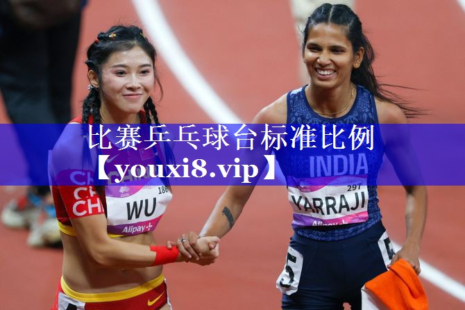 比赛乒乓球台标准比例