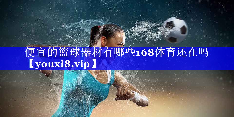 便宜的篮球器材有哪些168体育还在吗