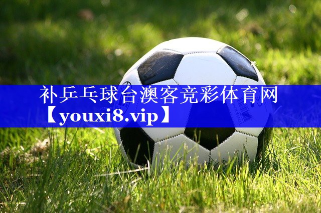 补乒乓球台澳客竞彩体育网
