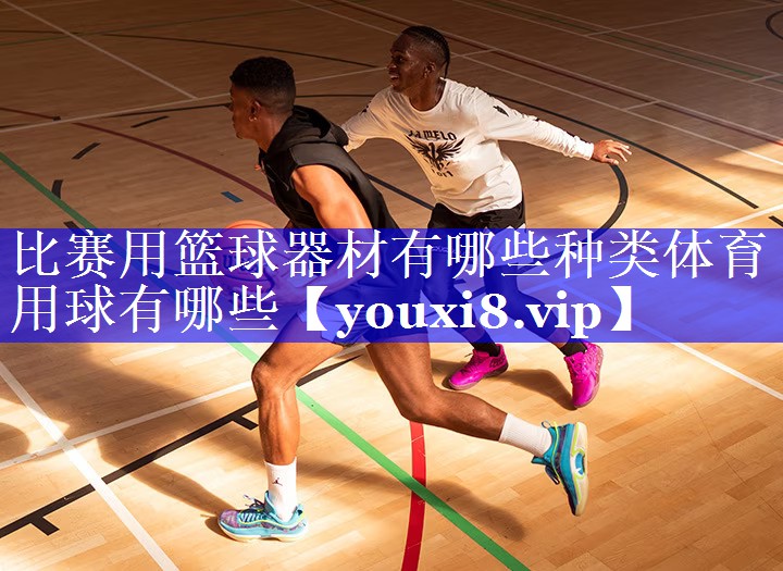 比赛用篮球器材有哪些种类体育用球有哪些