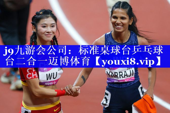 j9九游会公司：标准桌球台乒乓球台二合一迈博体育