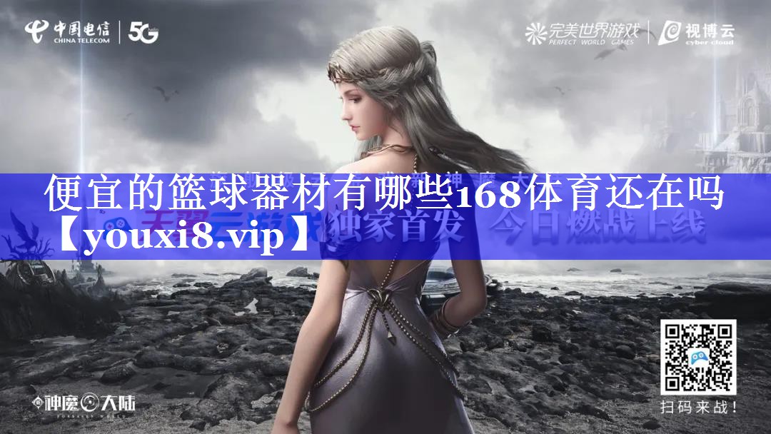 便宜的篮球器材有哪些168体育还在吗