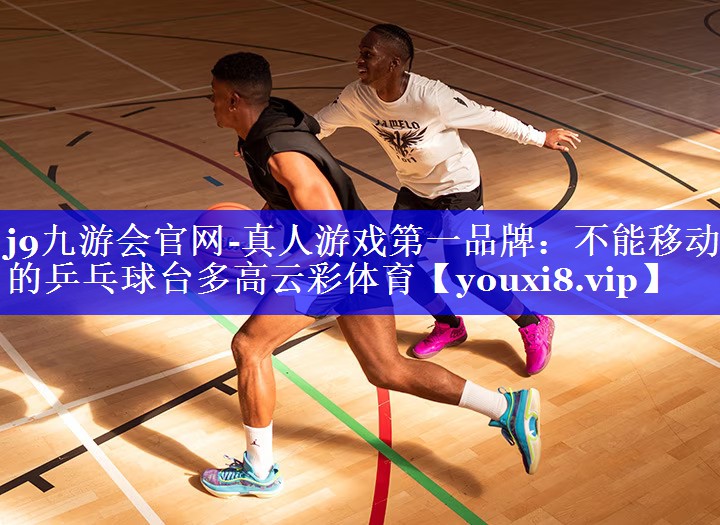 j9九游会官网-真人游戏第一品牌：不能移动的乒乓球台多高云彩体育