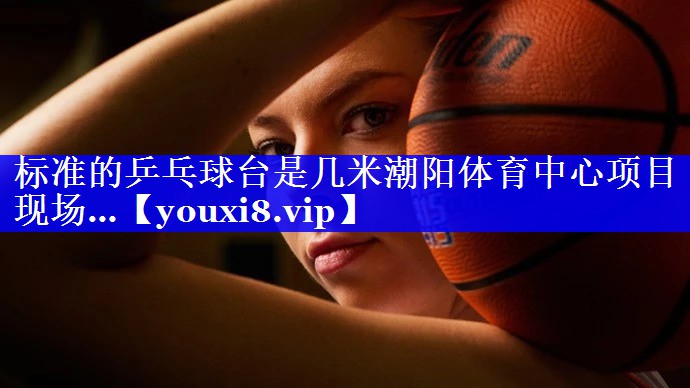 标准的乒乓球台是几米潮阳体育中心项目现场…