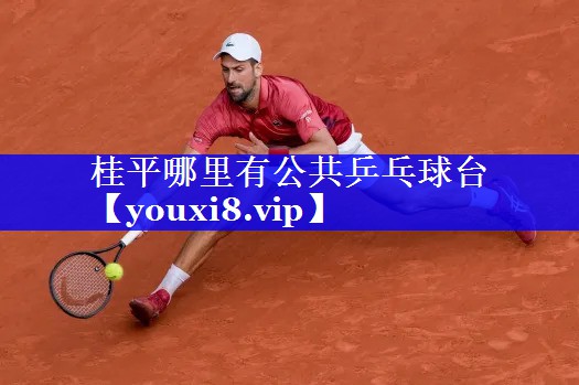 桂平哪里有公共乒乓球台 桂平哪里有公共乒乓球台